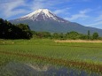 忍野の富士山