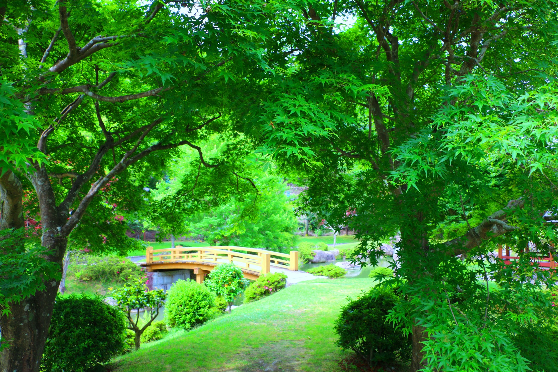 日本の風景 新緑の日本庭園 壁紙19x1280 壁紙館