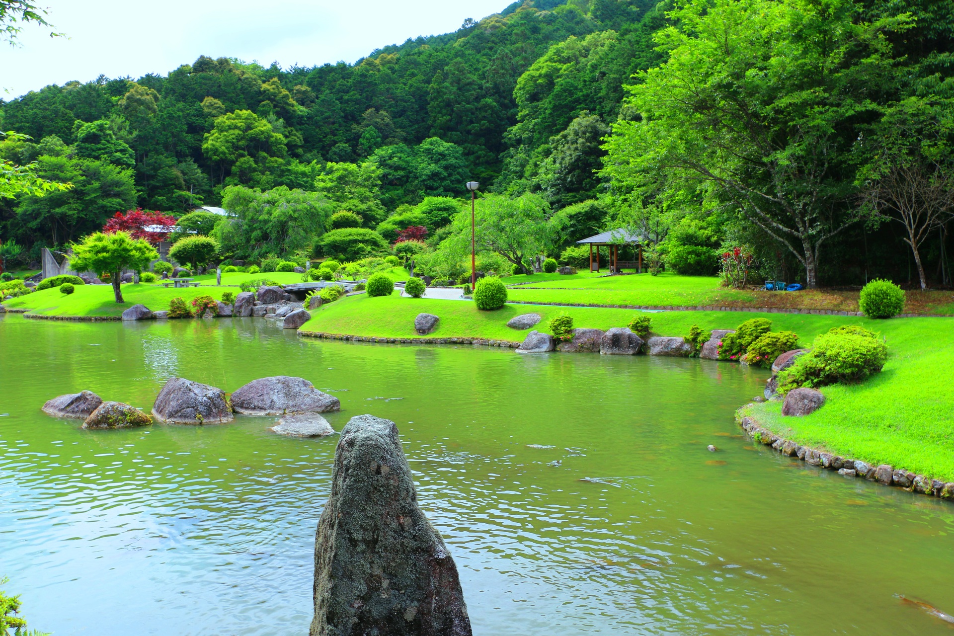 日本の風景 新緑の日本庭園 壁紙19x1280 壁紙館