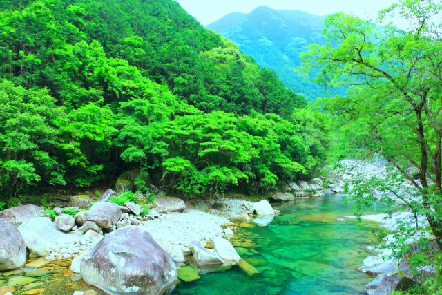 新緑の魚飛渓谷