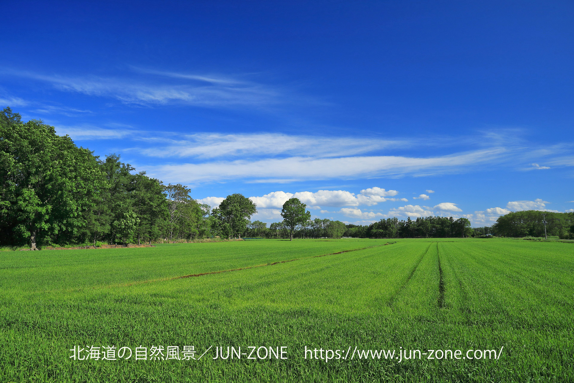 日本の風景 爽やかな初夏風景 石狩 壁紙19x1280 壁紙館