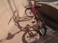 松本銀座・なわてを飾る自転車