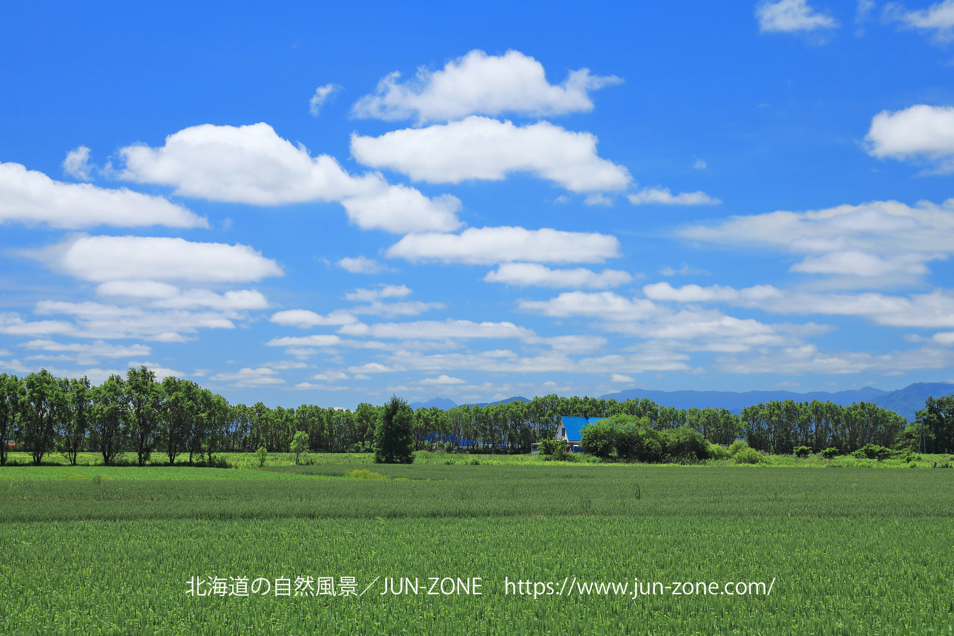 日本の風景 大草原の小さな家 石狩 壁紙19x1280 壁紙館