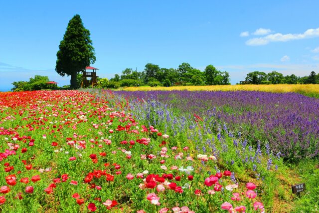メナード青山ハーブガーデン