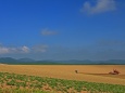 富良野・夏