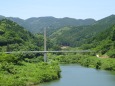 緑の中の吊り橋