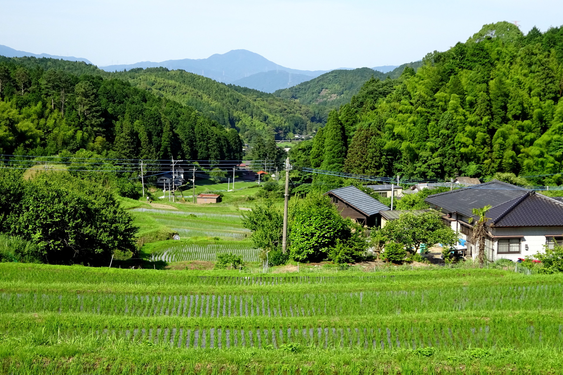日本の風景 山間の棚田と点在する家 壁紙19x1280 壁紙館