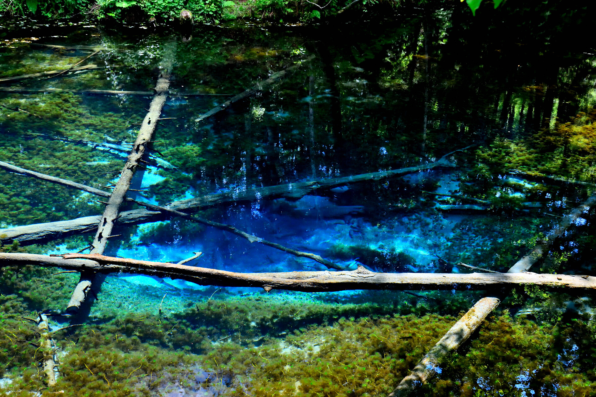 日本の風景 神の子池 壁紙19x1280 壁紙館