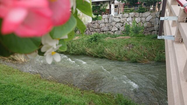 城下町なわて・女鳥羽川
