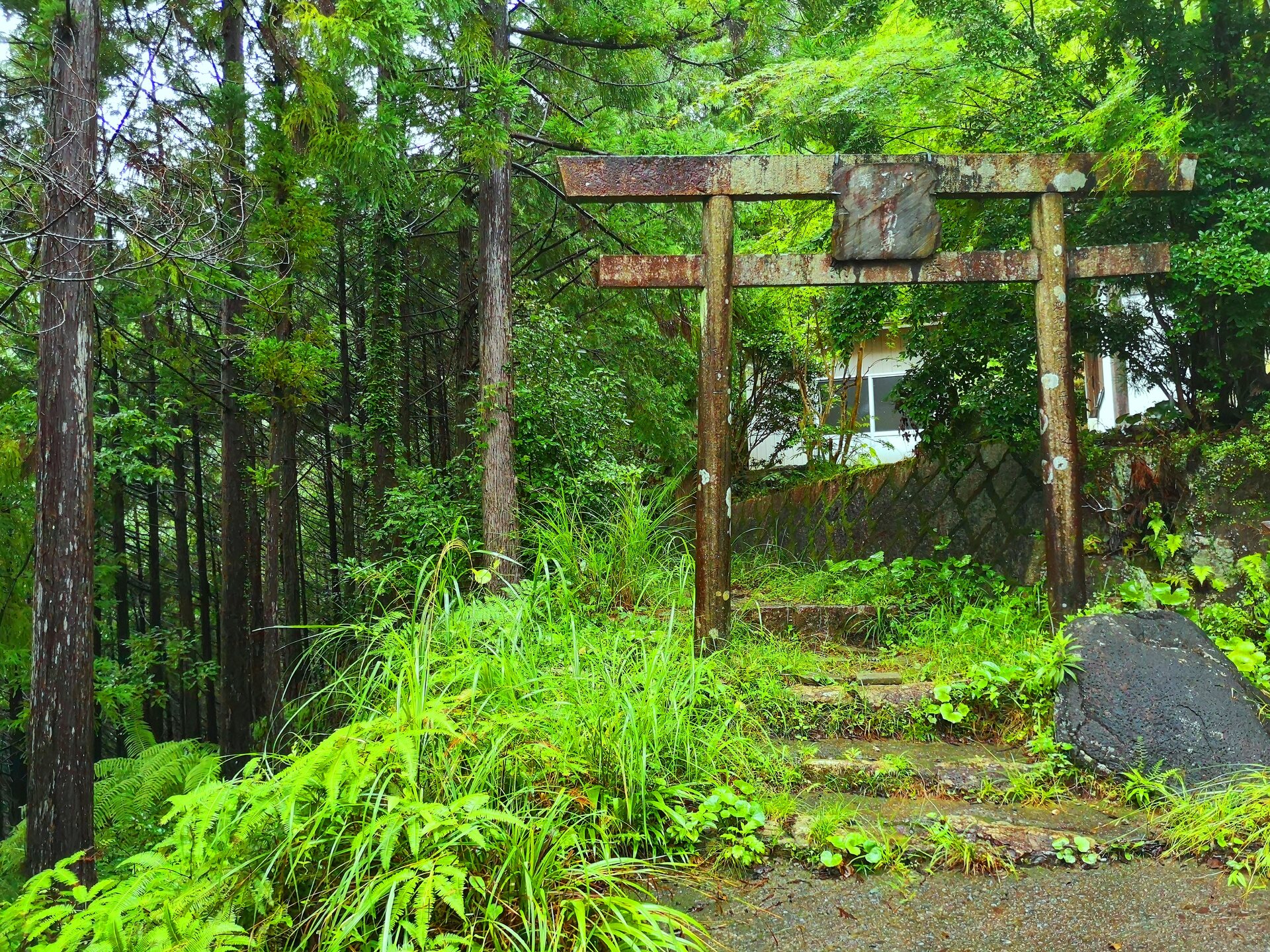 日本の風景 雨の熊野古道 壁紙19x1440 壁紙館