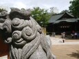 夏の松本・四柱神社