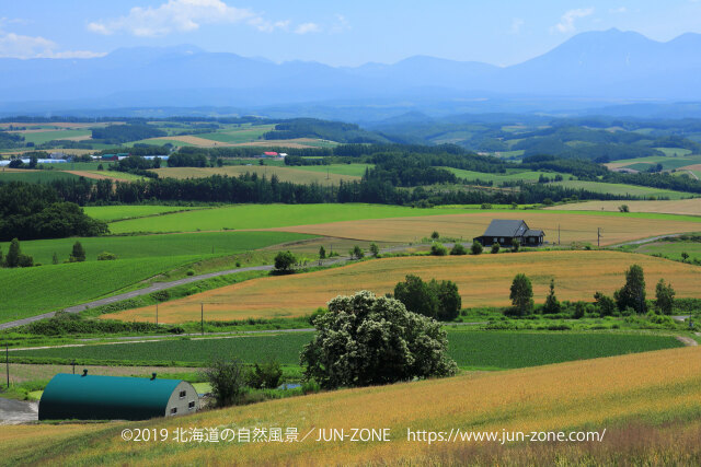夏の美瑛・上富良野の丘風景 2