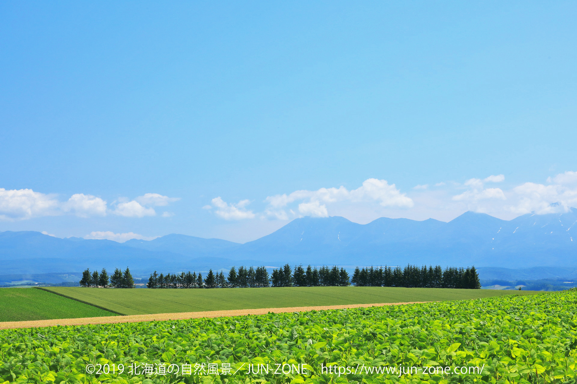 日本の風景 夏の美瑛の丘風景 5 壁紙19x1280 壁紙館