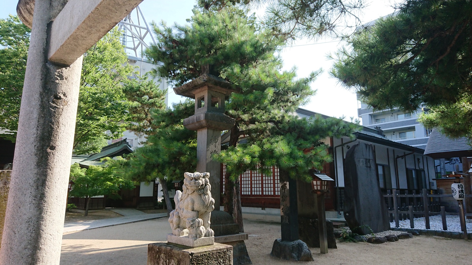 日本の風景 松本四柱神社の夏 壁紙19x1080 壁紙館