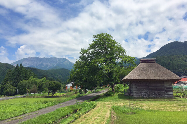 茅葺き小屋と大山 夏3