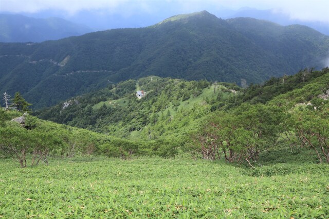 登山道の景色-1