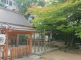 四柱神社の夏紅葉