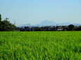 RndList[3]