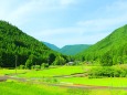 夏の里山