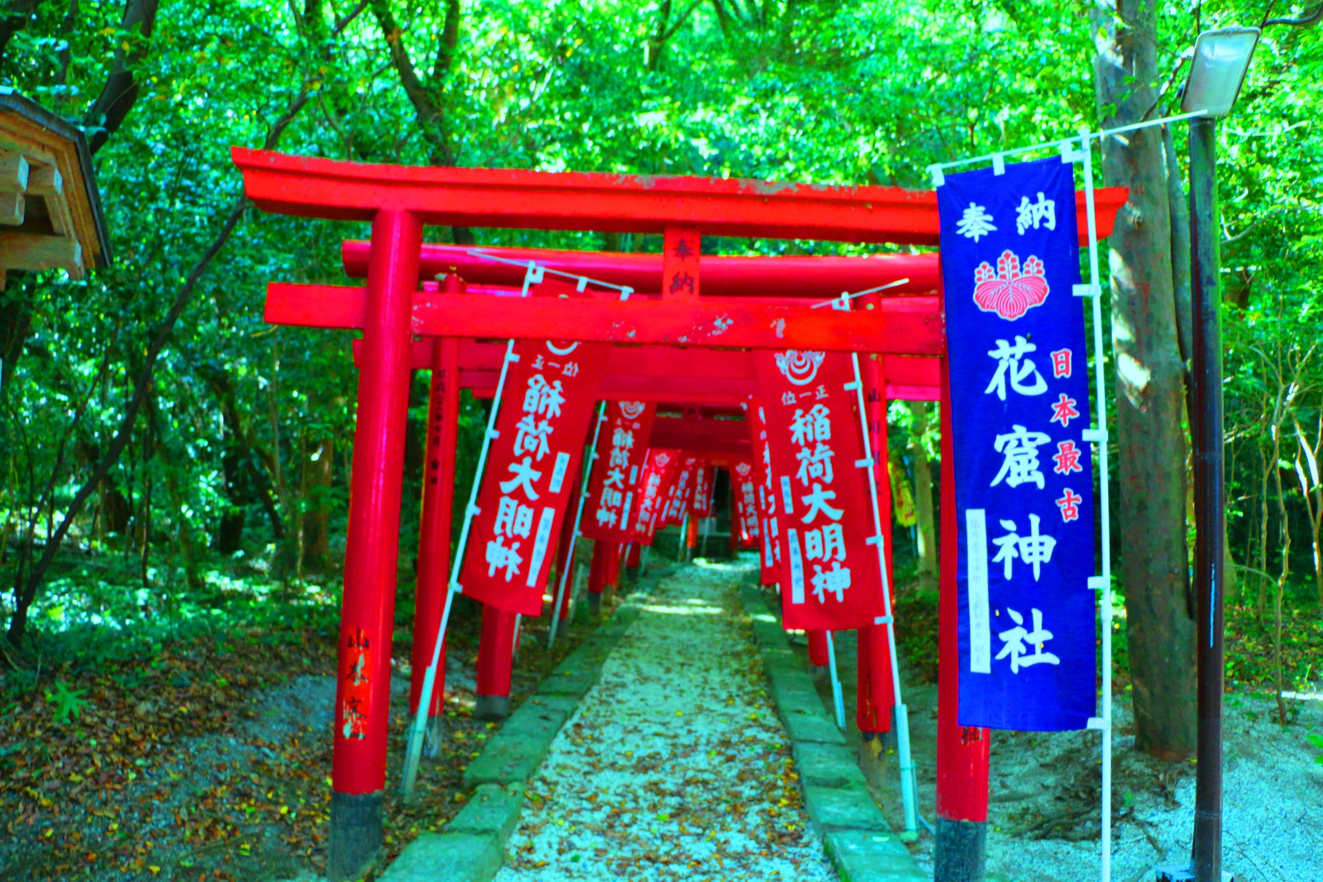 日本の風景 世界遺産花の窟 壁紙19x1280 壁紙館