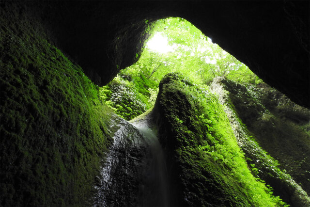 渓谷 初秋 シワガラの滝2