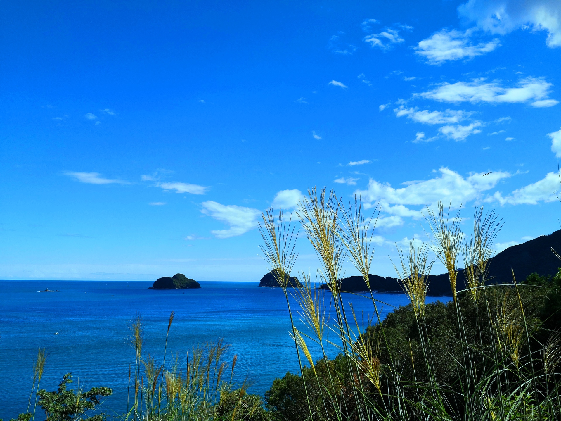 日本の風景 秋の海 壁紙19x1440 壁紙館