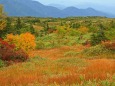 立山の秋