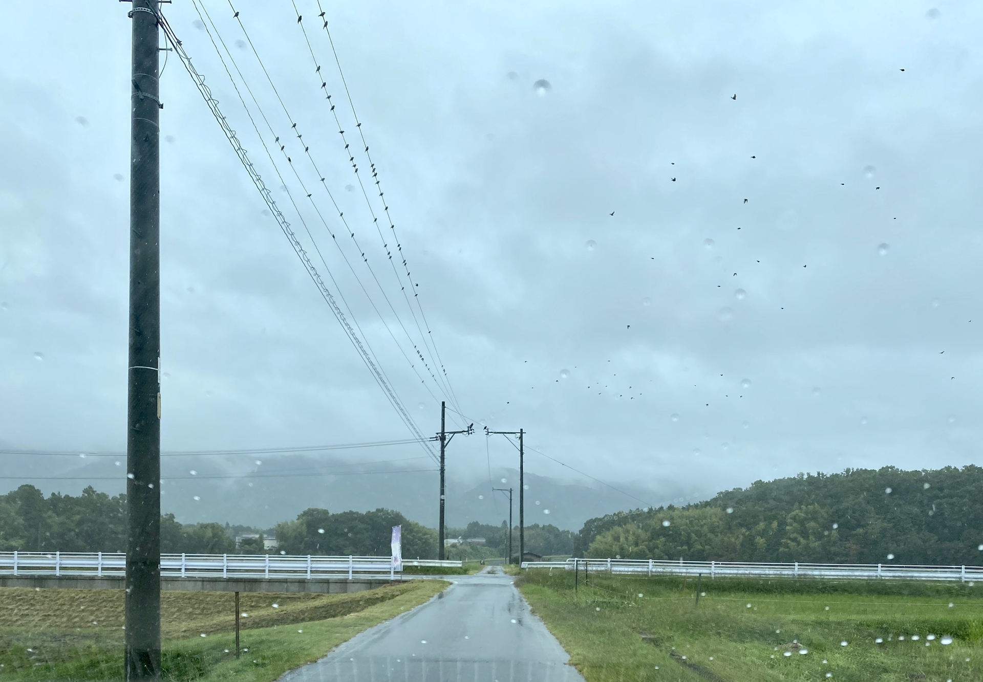 日本の風景 雨にも負けず 壁紙19x1333 壁紙館