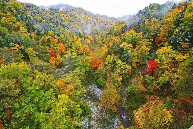 峡谷の紅葉