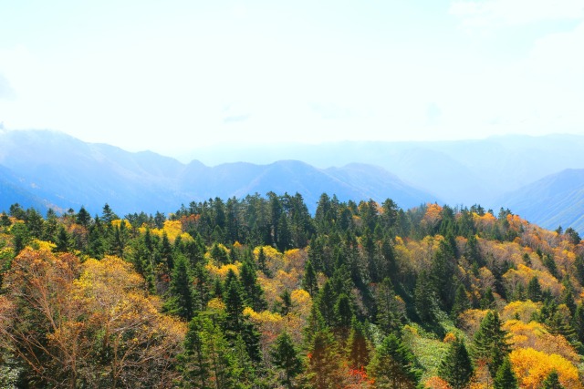 新穂高ロープウェイ
