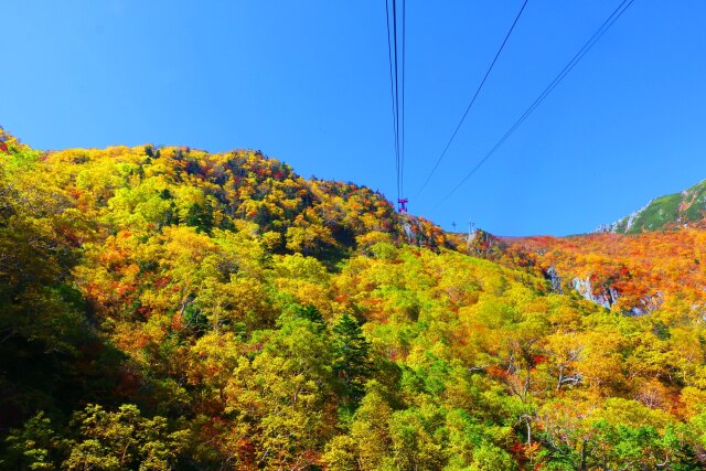 駒ヶ岳ロープウェイ
