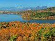 秋の山中湖