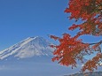 富士と紅葉