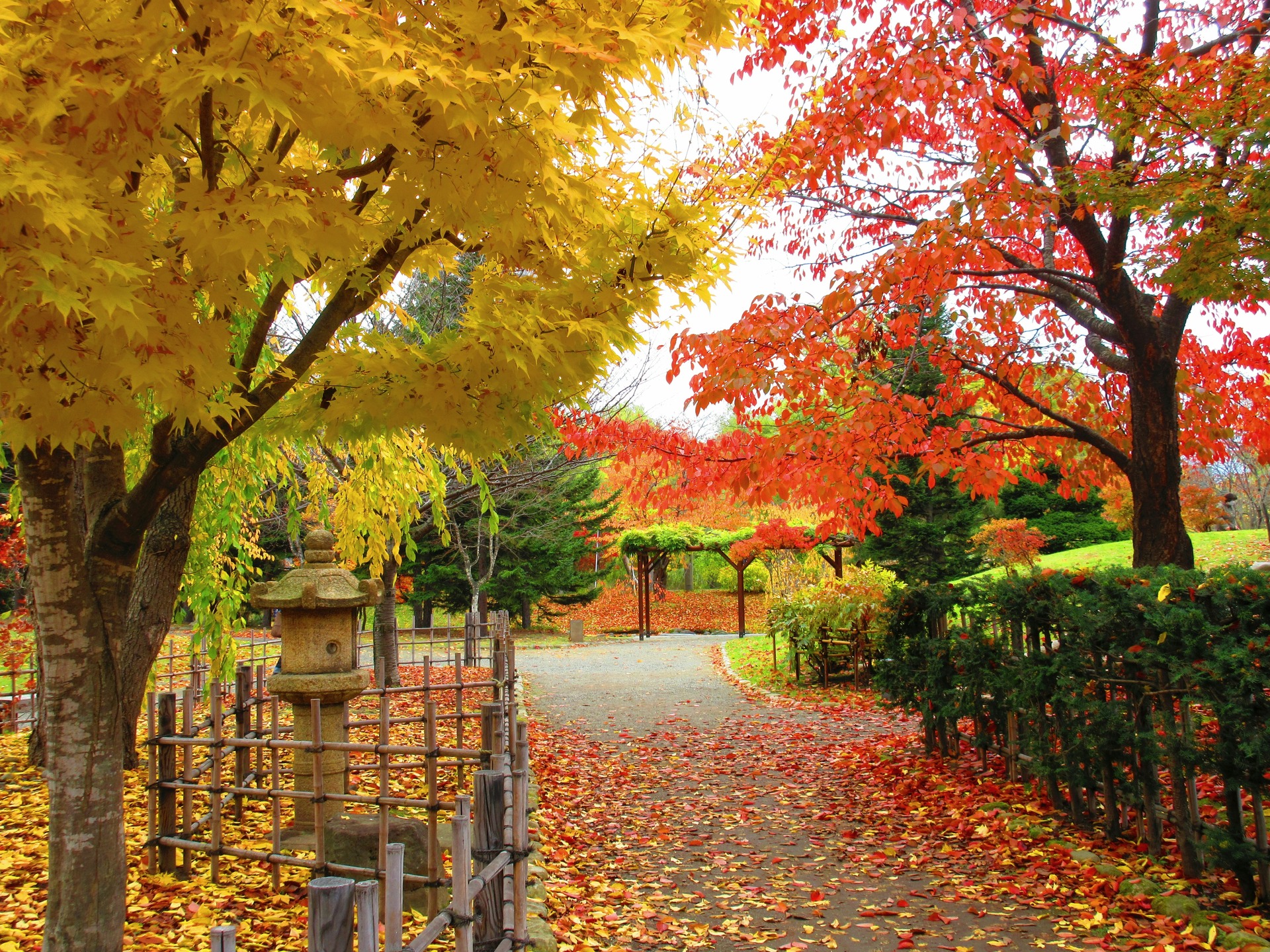 日本の風景 紅葉の日本庭園 壁紙19x1440 壁紙館