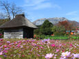 茅葺き小屋と大山南壁2