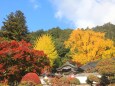 大窪寺の紅葉-3