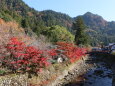 室生寺