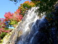 崖の紅葉と滝