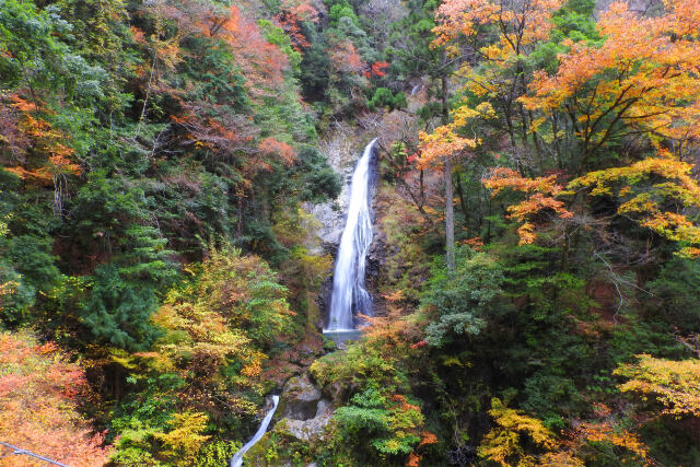 原不動滝 紅葉2