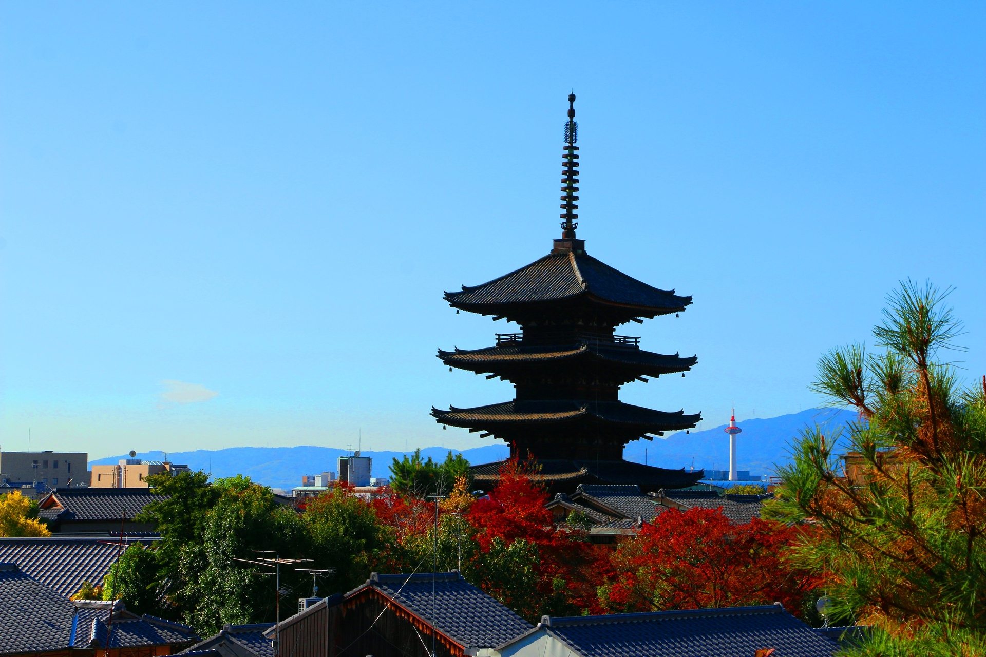 日本の風景 秋の京都 壁紙19x1280 壁紙館