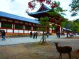 初冬の東大寺