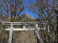 迎春 穂高神社