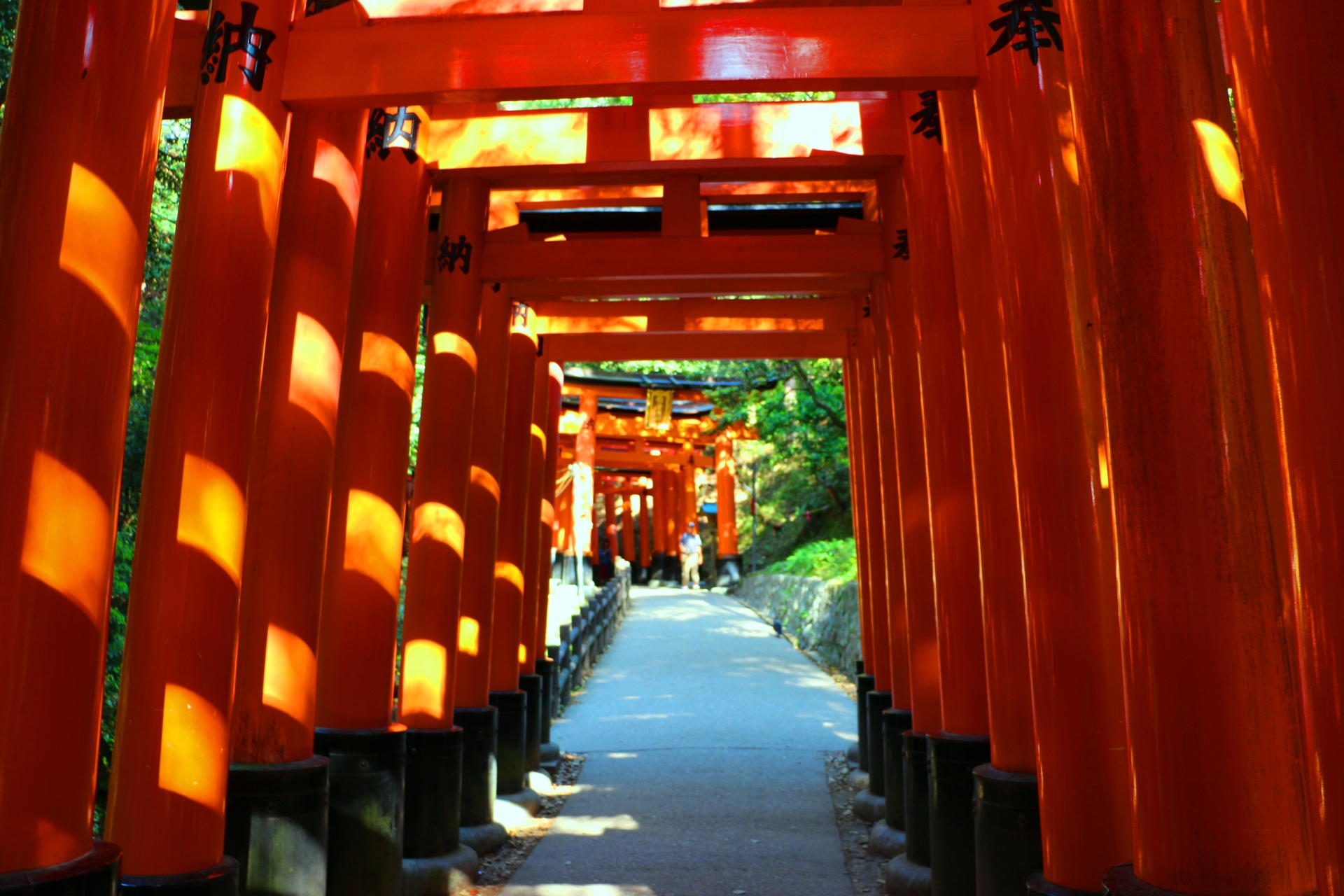 日本の風景 迎春 伏見稲荷 壁紙19x1280 壁紙館