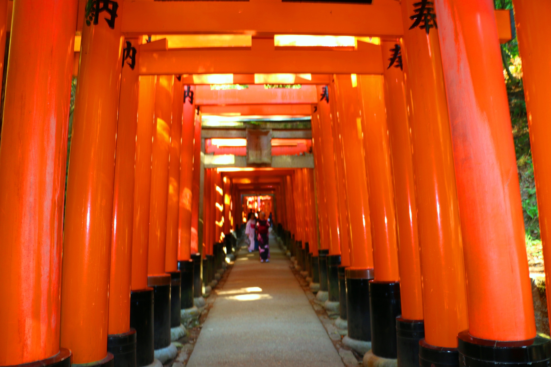 日本の風景 迎春 伏見稲荷 壁紙19x1280 壁紙館