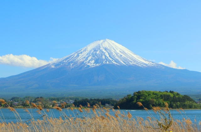 迎春 富士山