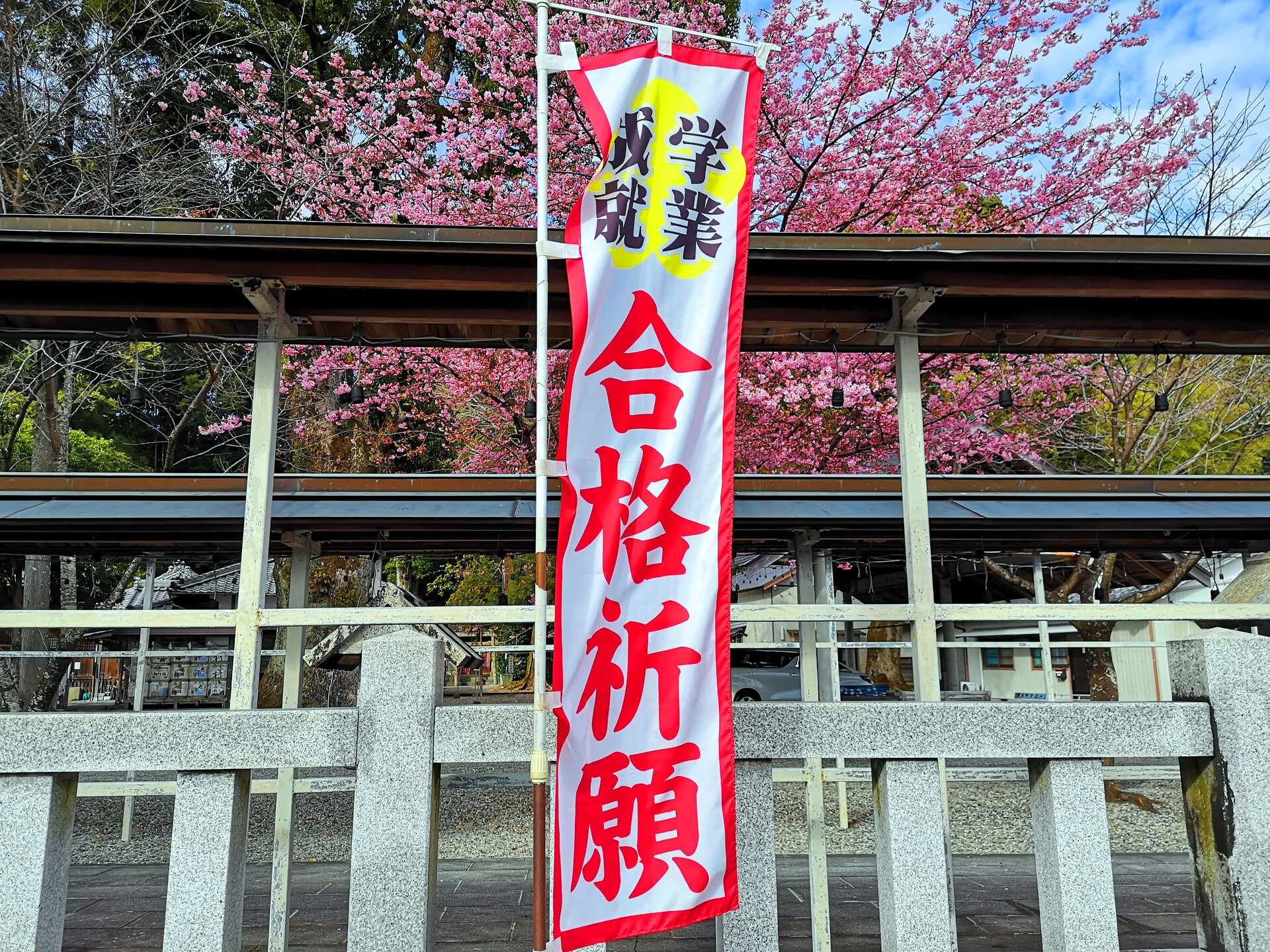 日本の風景 早咲きの桜で合格祈願 壁紙19x1440 壁紙館