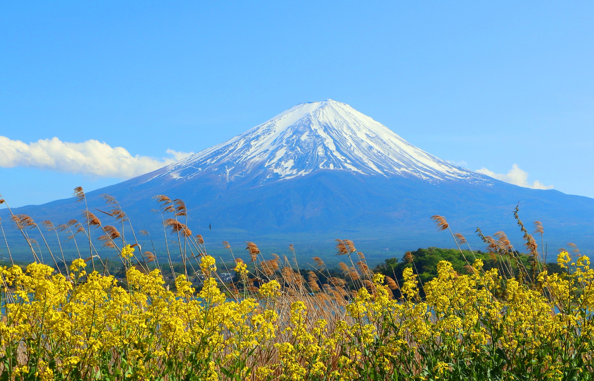 日本の風景 富士山 壁紙19x1232 壁紙館