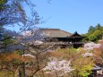 改修前の清水寺