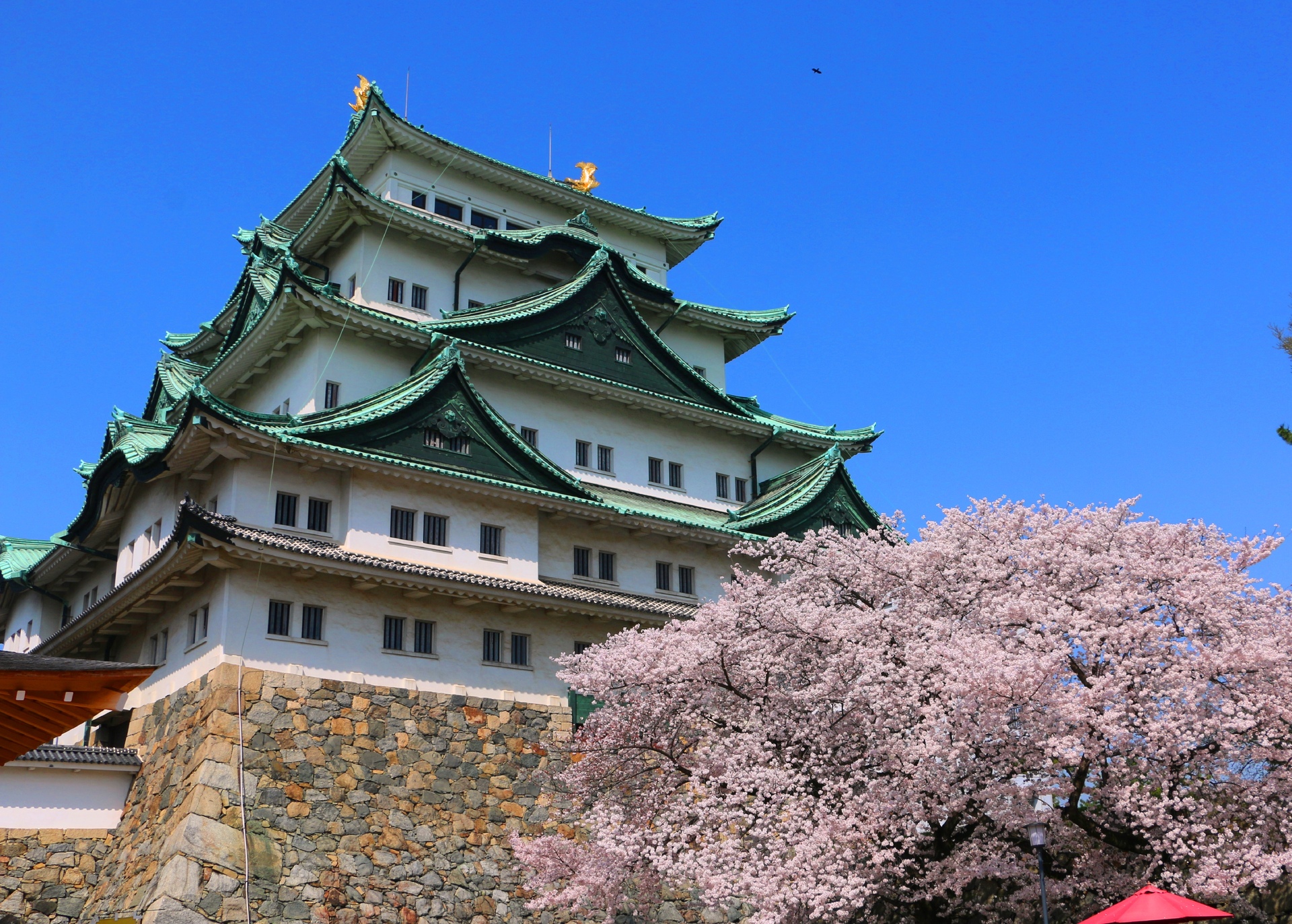 日本の風景 名古屋城 壁紙19x1373 壁紙館