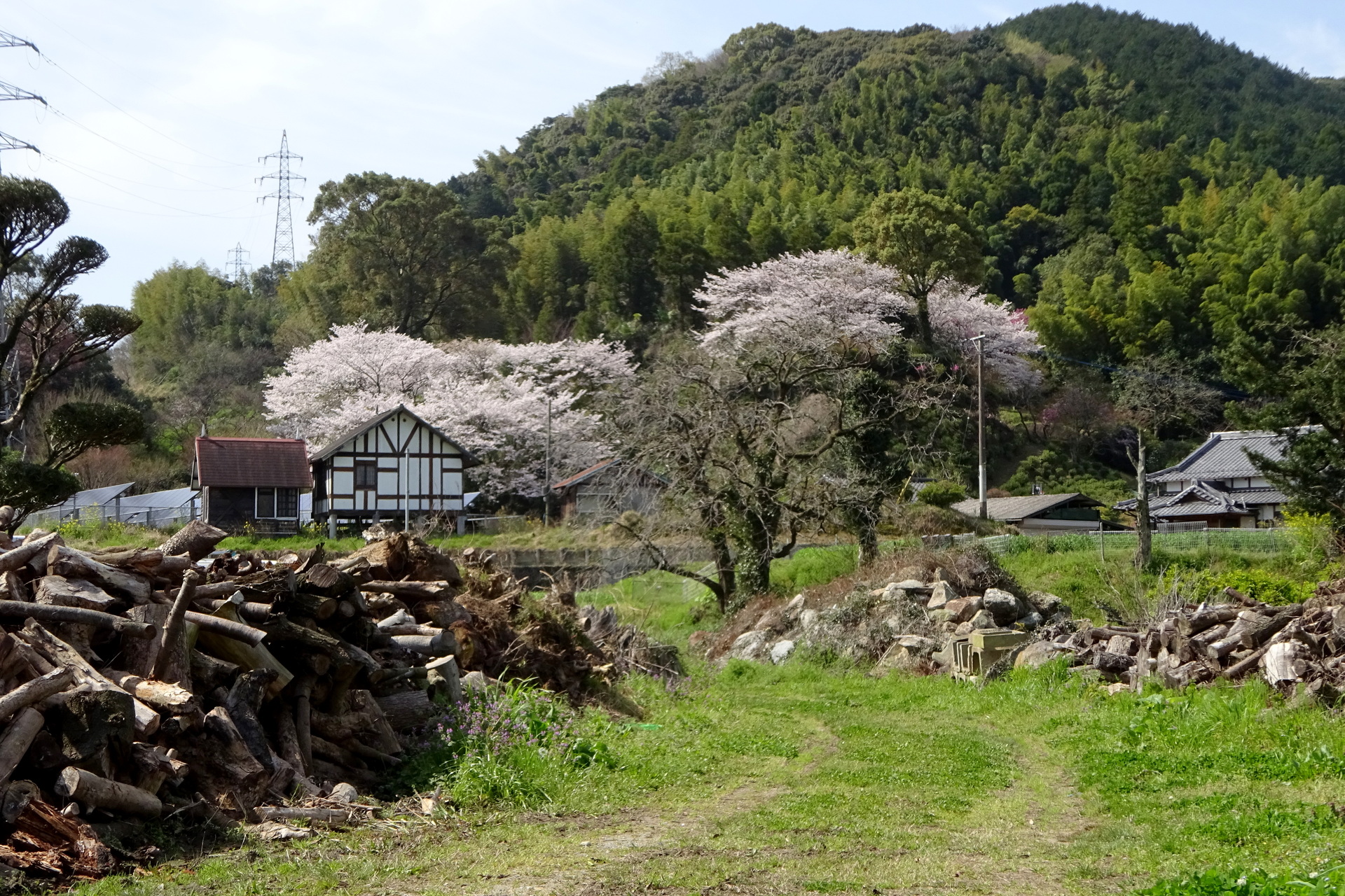 日本の風景 里の春景色 壁紙19x1280 壁紙館